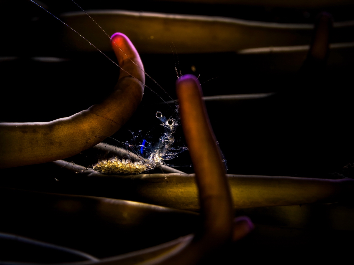 Tmp 23851 PB2023091504076973