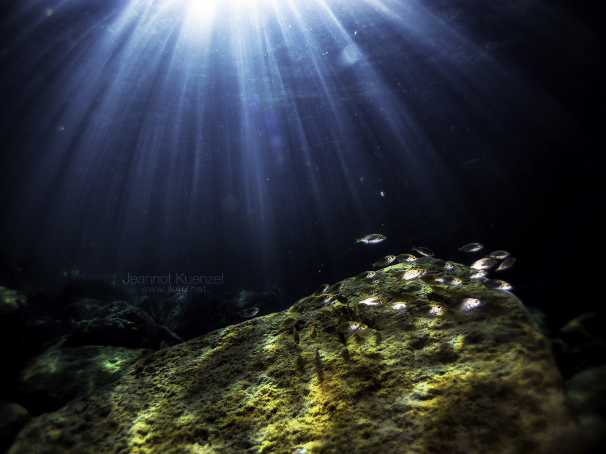 JK175647 1 1 resize 1