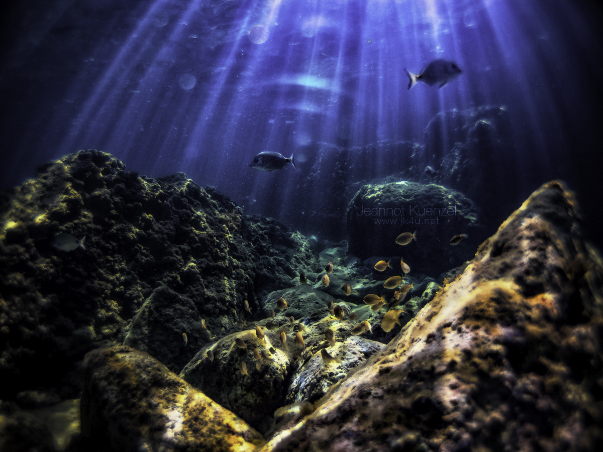 JK175723 1 1 resize 1