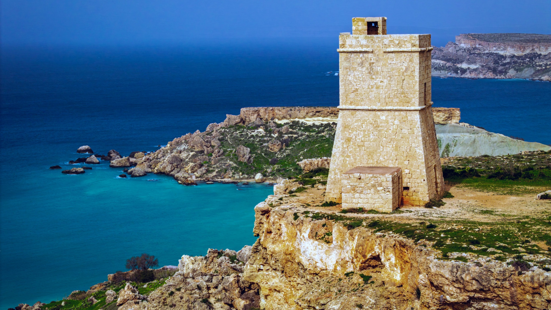 IMG 20260214 WA0025(1)